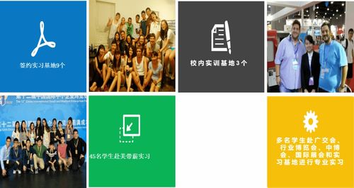 专业解读 英语语言文化学院翻译专业的核心价值与翻译服务的社会角色